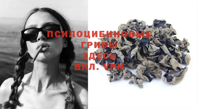 Псилоцибиновые грибы Magic Shrooms  OMG зеркало  Ефремов 